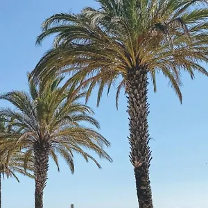 Studio Roses Plage , Rosas España